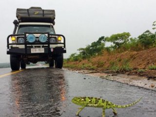 Zambia